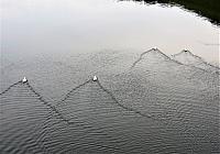 IMG 7332 (2)