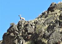 IMG 7453