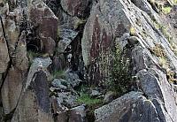 IMG 7460