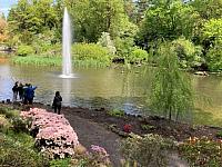 IMG 0466