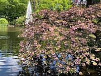 IMG 0467