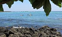 IMG 7772