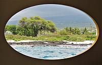 IMG 7795