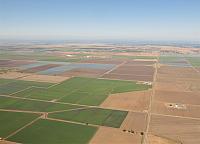 IMG 7687