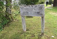 IMG 7909