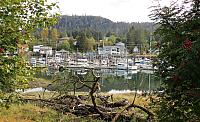 IMG 7911