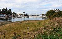IMG 7916