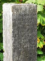 IMG 7918