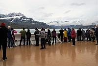 IMG 8014