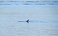 IMG 8217 (2)