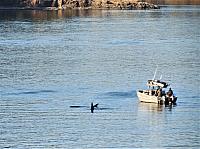 IMG 8221 (2)
