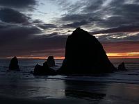 IMG 0579