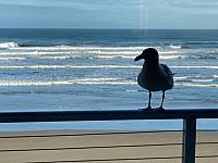 IMG 0592