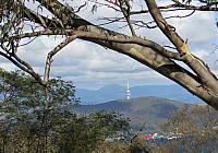 IMG 8479