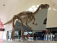 IMG 8541