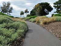 IMG 9194