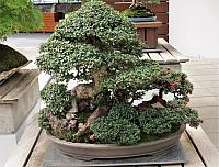 IMG 9211