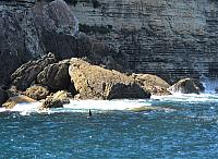 IMG 8788
