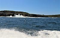 IMG 8808
