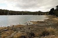 IMG 8975