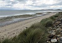 IMG 8990
