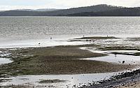 IMG 8991