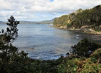IMG 8995