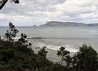 IMG 8997