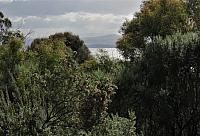 IMG 9021