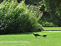 IMG 9162