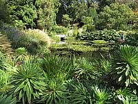 IMG 9173