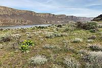 IMG 0707 (2)