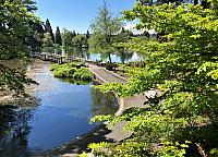 IMG 0766