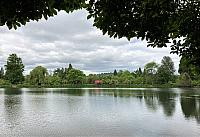 IMG 0791