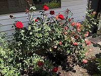 IMG 0808