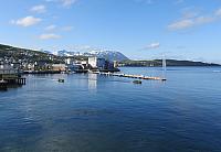 IMG 9458