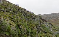 IMG 9479