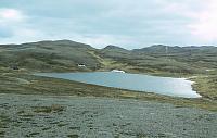 IMG 9544-01