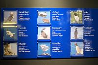 IMG 9583