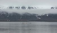 IMG 9682