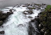 IMG 9856