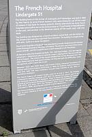 IMG 9923