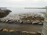 IMG 9953