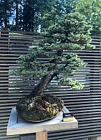 IMG 0914