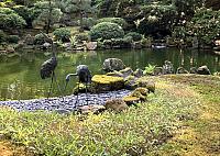 IMG 0918