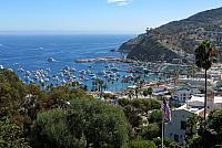 IMG 0159