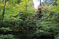 IMG 0208