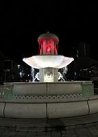 IMG 0324 - Copy