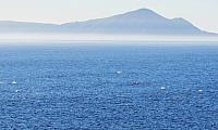 IMG 0485