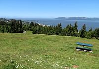 IMG 0750